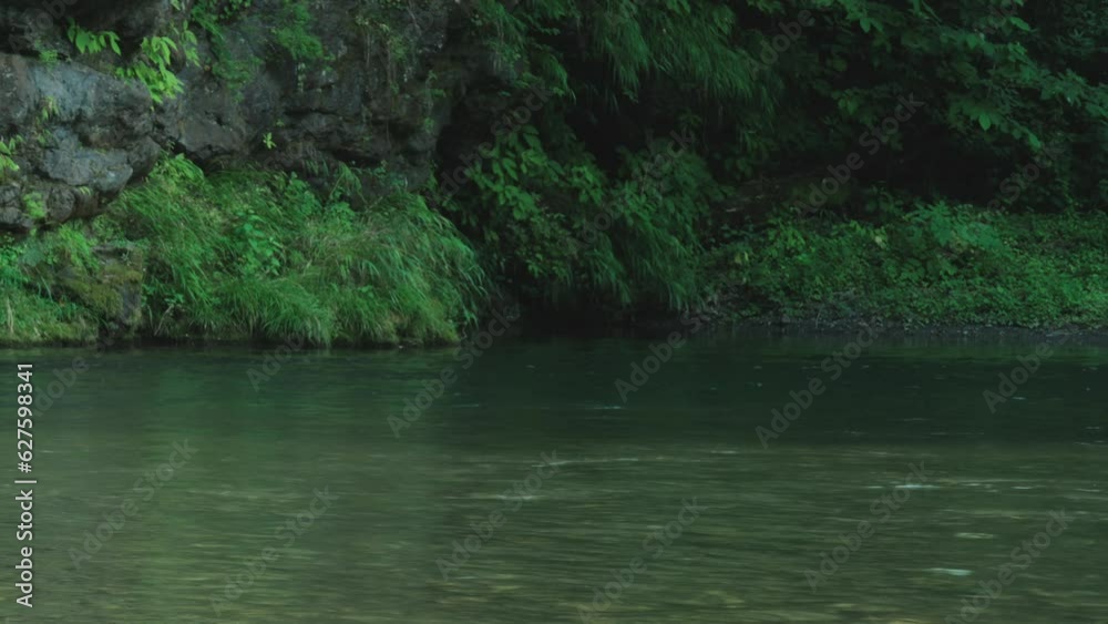 川が流れている風景/清流 川が流れている風景/清流