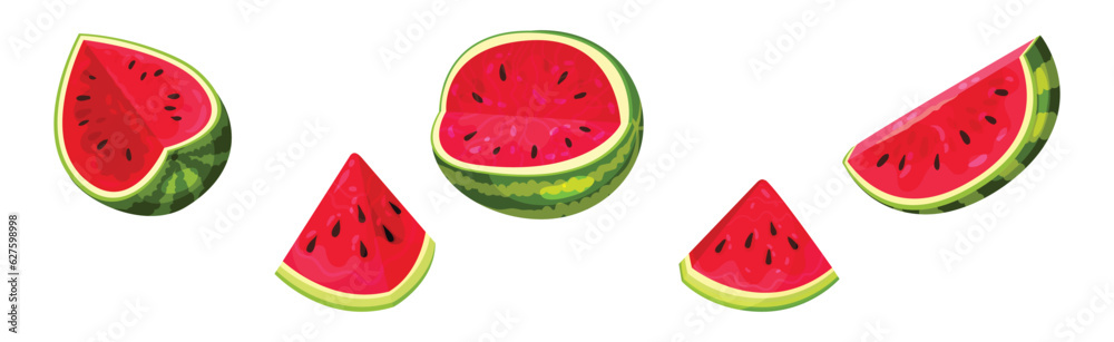 Fresh and Juicy Watermelon Fruit with Red Flesh and Black Seeds Vector Set