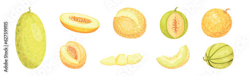Melon Fruit with Juicy Flesh and Seeds Inside Vector Set