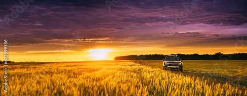 AWD 4WD SUV green car in summer meadow landscape in summer wheat field countryside landscape. Sunset sky background panorama ,