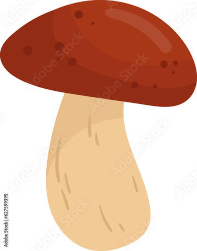 Boletus Edulis Mushroom Plant