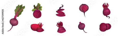 Beetroot and Beet Plant as Cultivated Vegetable Vector Set