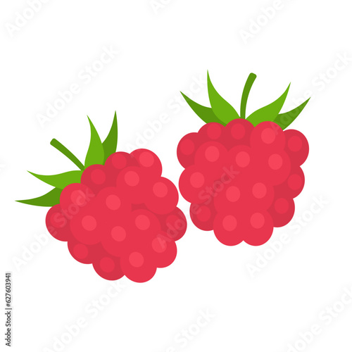 European red raspberry isolated on white background. Rubus idaeus. Pink raspberries with leaves icon for package design. Vector illustration of fruits and berries in flat style.