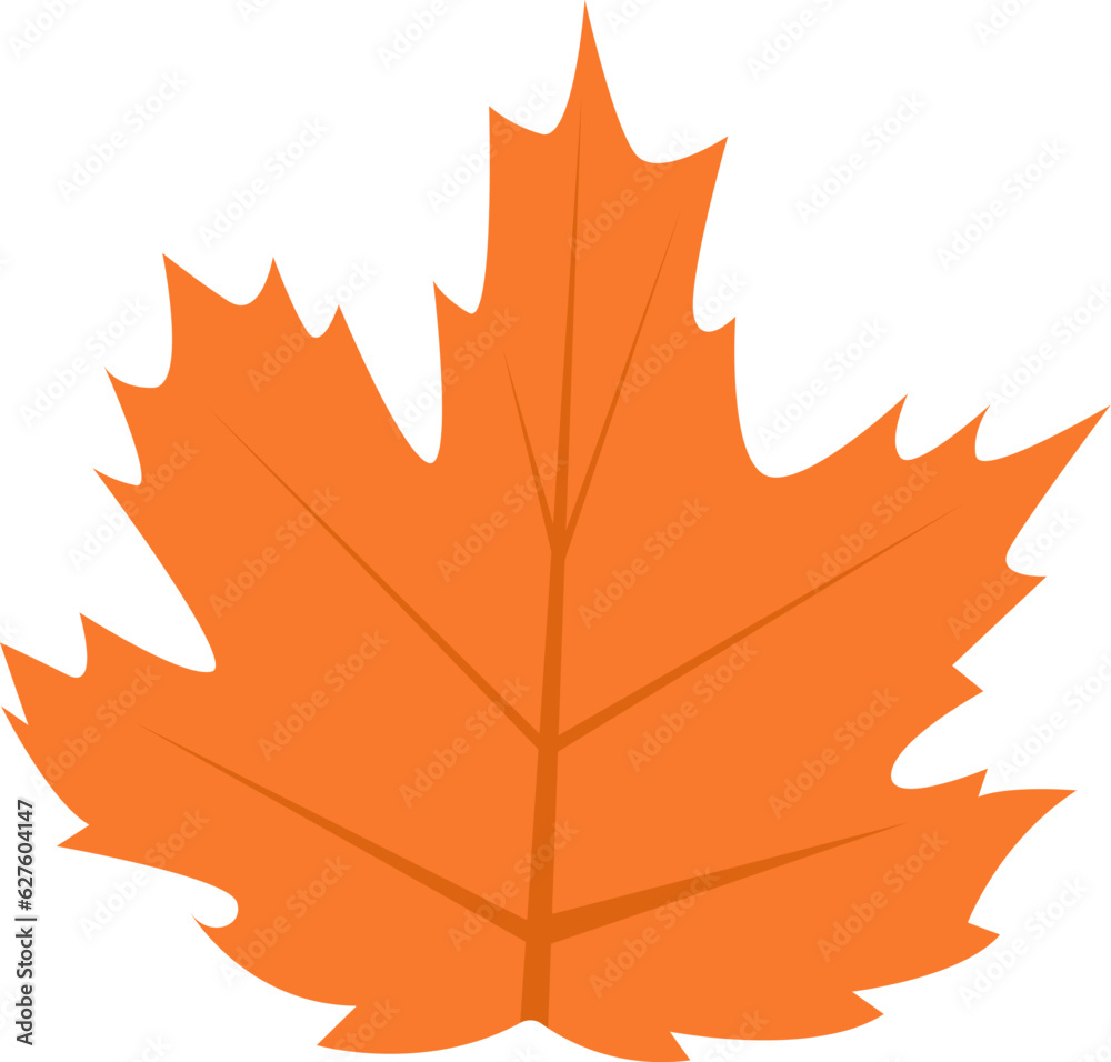 Obraz premium Maple Tree Leaf