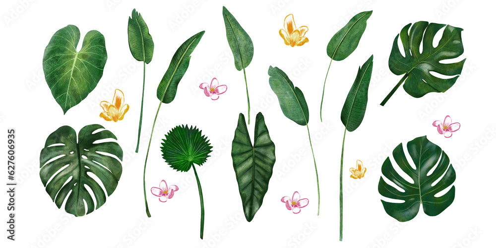 Set or hand drawn watercolor tropical leaves with paper texture. Monstera  banana leaves, colocasia and alocasia leaf and flowers.