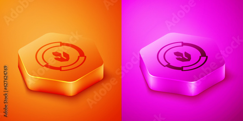 Isometric Agricultural soil test and results icon isolated on orange and pink background. Digital soil analysis. Hexagon button. Vector