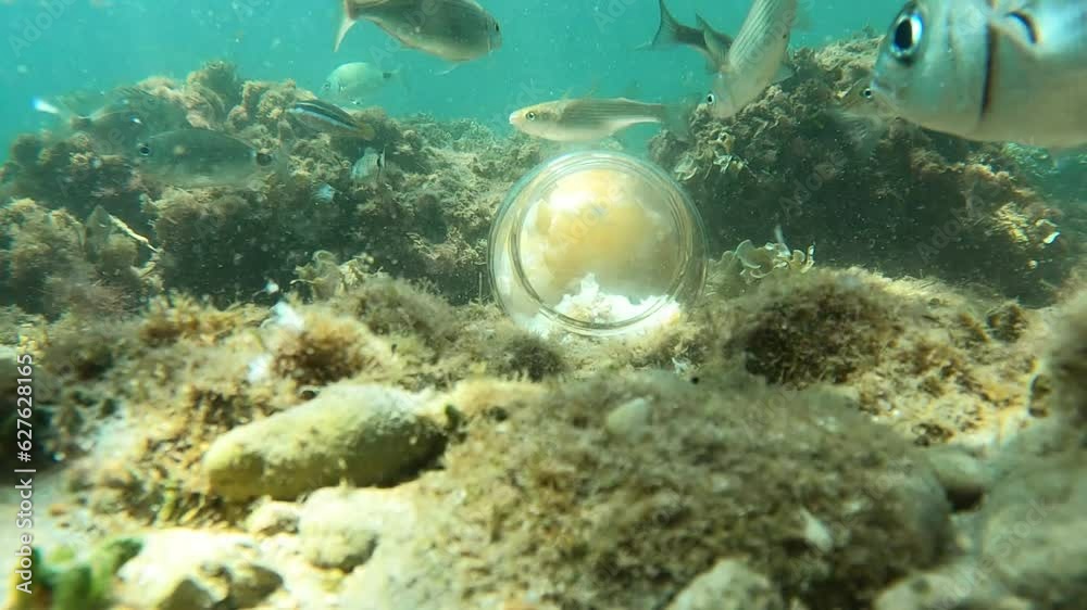 Video Stock Man fishing with a plastic bottle attracting mullet fishes