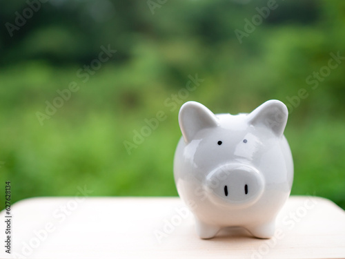 white piggy bank on a natuure background. Savings and investment concepts.