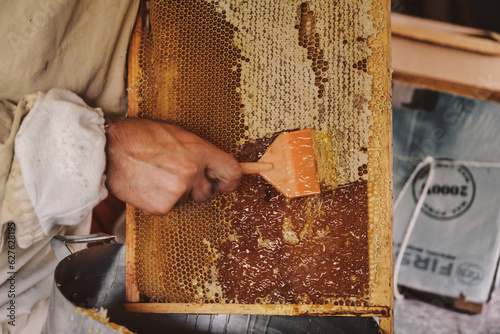 Extracting honey from honeycomb concept. Close up view of beekeeper cutting wax lids with hot knife from honeycomb for honey extraction. photo