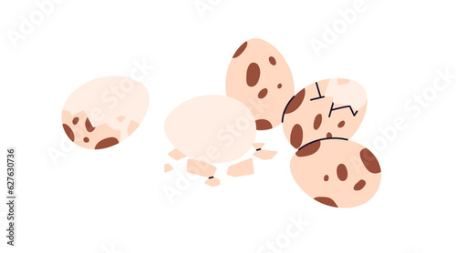 Quail eggs with brown-speckled shell, peeled from spotted eggshell. Cooked bo...
