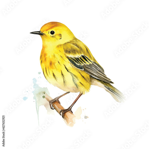 Yellow Warbler watercolor paint