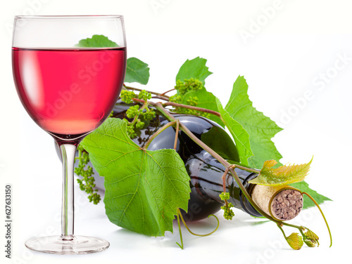 Glass of rose wine, wine bottle twisted with green vine on white background.