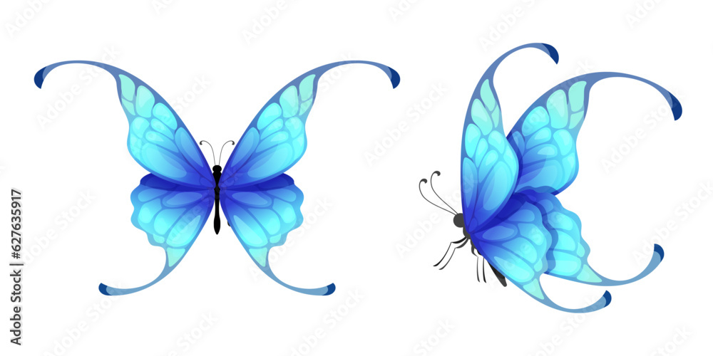 Beautiful blue butterflies vector isolated on white background.