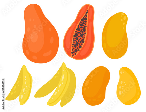 Vector set of tropical fruits isolated from background. Collection of flat juicy mango, papaya, bananas. Design element
