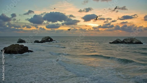 Seal Rocks sunset view with waves and many seagulls