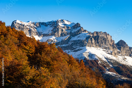 Beech forest in autumn in the Picos de Europa (European peaks) National Park at sunset since Piedrashitas viewpoint with the mountains in the background. Valdeon valley, Leon province, Spain.