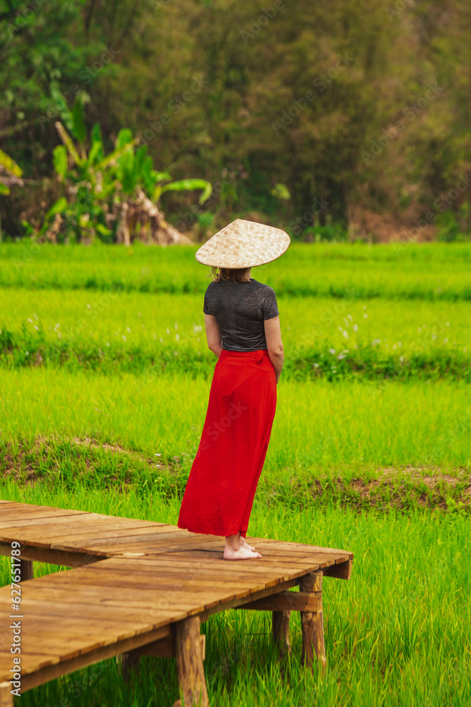 Obraz premium Rice Field in Luang Probang Laos