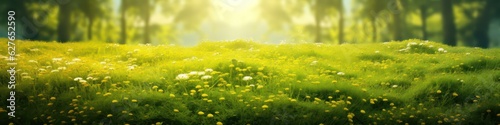Beautiful background image of a forest glade on a spring morning