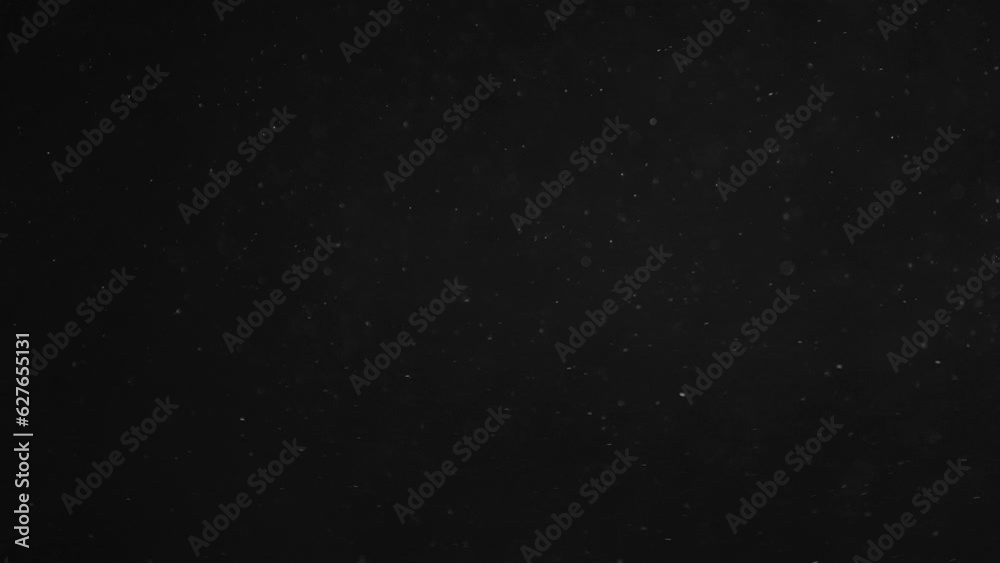 Natural Organic Dust Particles Floating On Black Background. Glittering Sparkling Particles Randomly Spin In The Air With Bokeh. Dynamic Particles With Fast And Slow Motion. Shimmering Dust In Space Natural Organic Dust Particles Floating On Black Background. Glittering Sparkling Particles Randomly Spin In The Air With Bokeh. Dynamic Particles With Fast And Slow Motion. Shimmering Dust In Space
