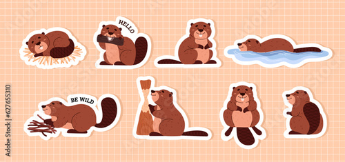 Set of stickers with cute beavers flat style, vector illustration