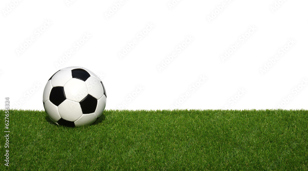 Soccer ball on green grass