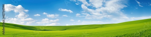 Panoramic natural landscape with green grass field meadow and blue sky with clouds, bright sun and horizon line. Panorama summer spring grassland in sunny day