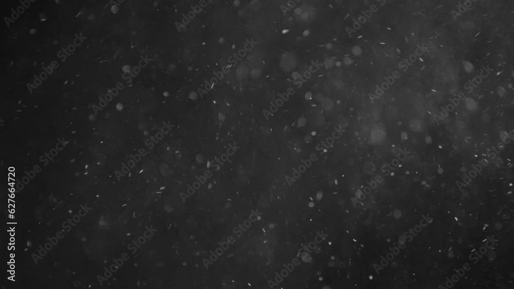 Natural Organic Dust Particles Floating On Black Background. Glittering Sparkling Particles Randomly Spin In The Air With Bokeh. Dynamic Particles With Fast And Slow Motion. Shimmering Dust In Space Natural Organic Dust Particles Floating On Black Background. Glittering Sparkling Particles Randomly Spin In The Air With Bokeh. Dynamic Particles With Fast And Slow Motion. Shimmering Dust In Space