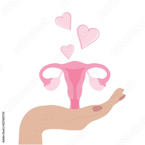 The human hand holds the uterus. Concept for women's health and self-care.