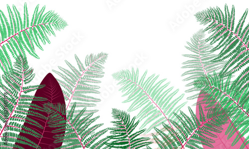 picture with fern branches and leaves