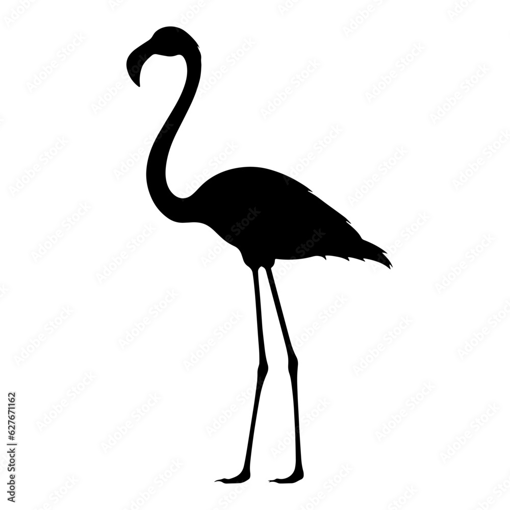 Flamingo silhouette isolated. Vector illustration