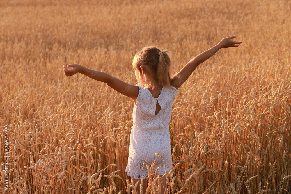 Child in a wheat field, concept of Ukraine, export, sale of grain Child in a wheat field, concept of Ukraine, export, sale of grain