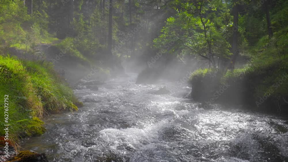 Rays of the sun break through trees and light fog in summer forest. Mountain crystal clear river in the forest. Water flows over the stones, green grass and trees. Gimbal high quality HDR slow motion