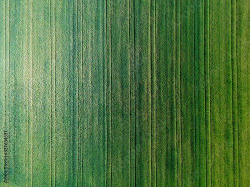 Fields, forest, pastures, aerial view