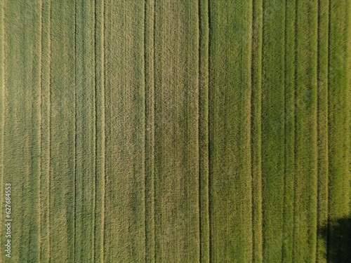 Fields, forest, pastures, aerial view