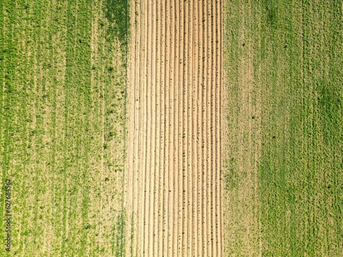 Fields, forest, pastures, aerial view