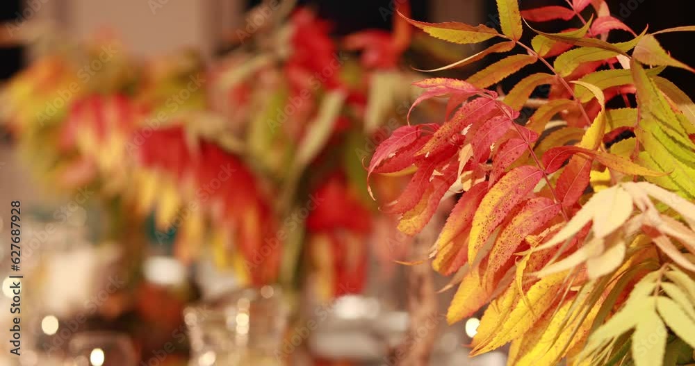 A close-up shot of a table set in an autumn style. Table setting-decoration of a large table with leaves on an autumn theme for receiving guests. A close-up shot of a table set in an autumn style. Table setting-decoration of a large table with leaves on an autumn theme for receiving guests.