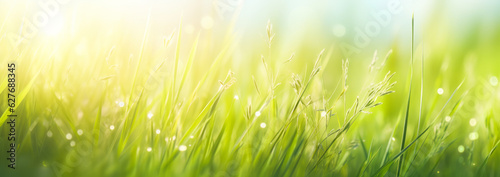 Summer or spring green background. Green grass, dew, sun glare, greenery, nature. banner. AI generation