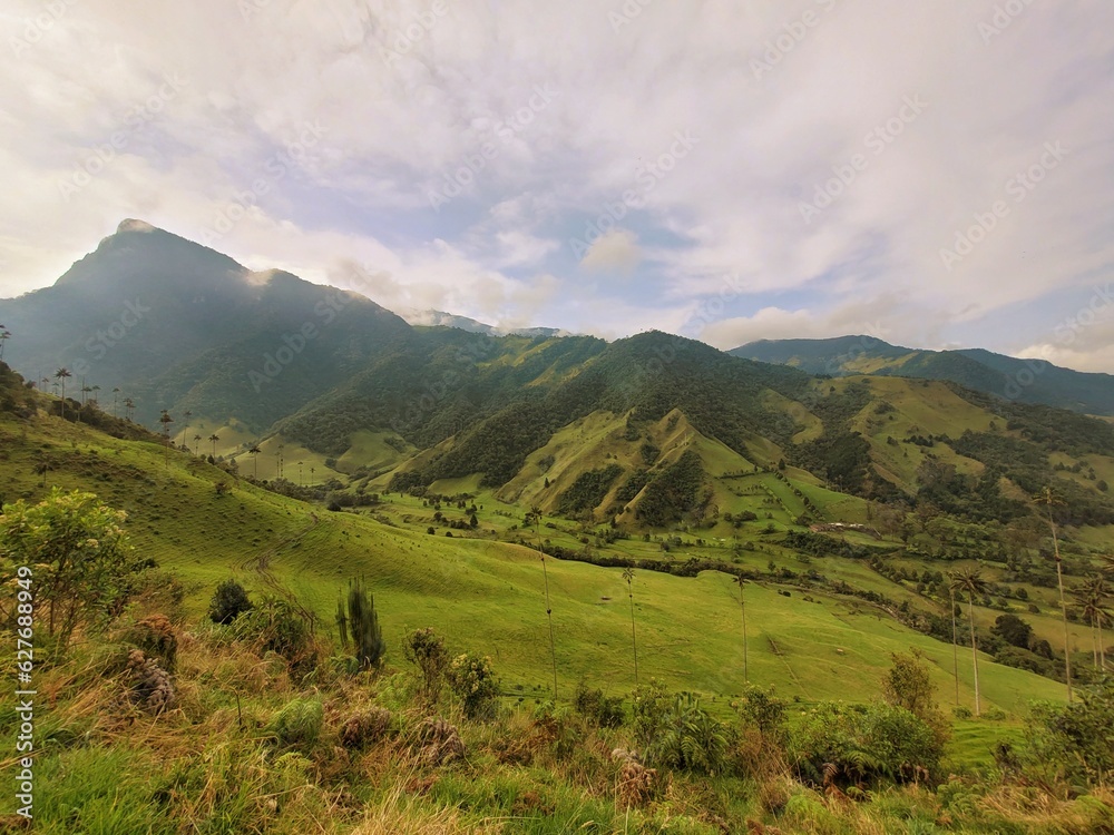 valle de cocora en Colombia