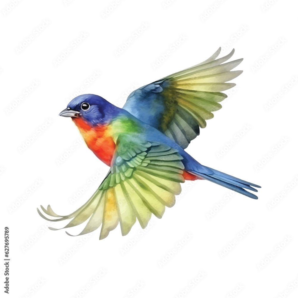 Painted Bunting watercolor paint