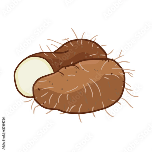 vector illustration of dioscorea hispida tuber as a fresh plantation product on white background, can be used as banner, poster or template