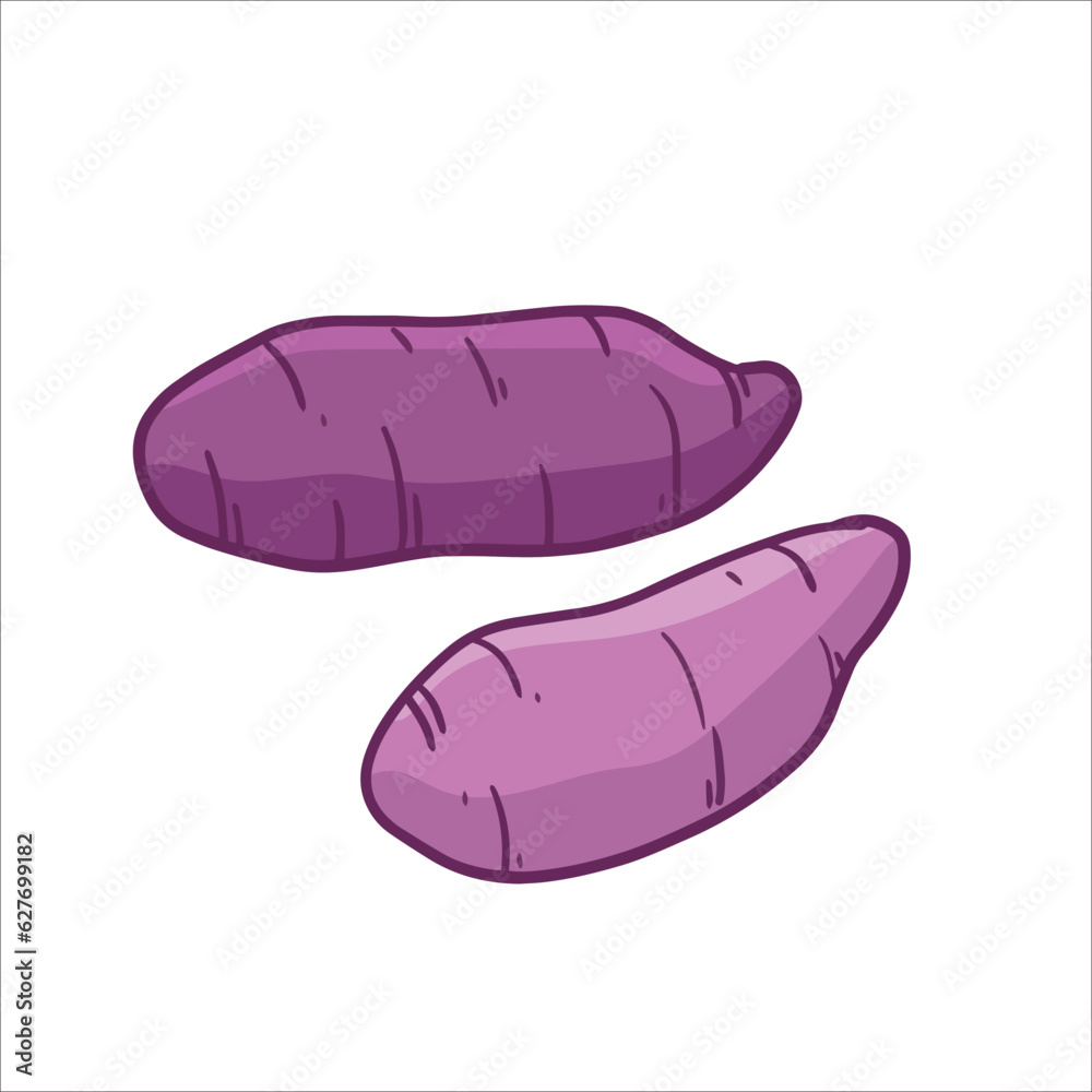 vector illustration of purple sweet potato or taro as a fresh plantation produce on white background, can be used as banner, poster or template vector illustration of purple sweet potato or taro as a fresh plantation produce on white background, can be used as banner, poster or template