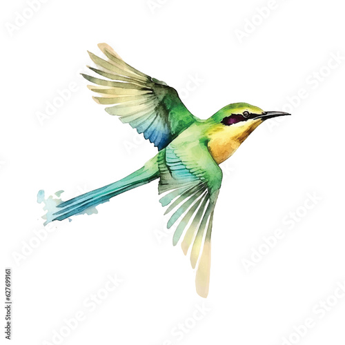 Green Bee-eater bird watercolor paint 