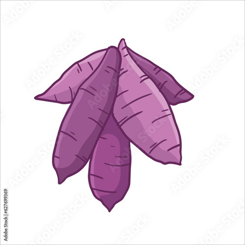 vector illustration of purple sweet potato or taro as a fresh plantation produce on white background, can be used as banner, poster or template