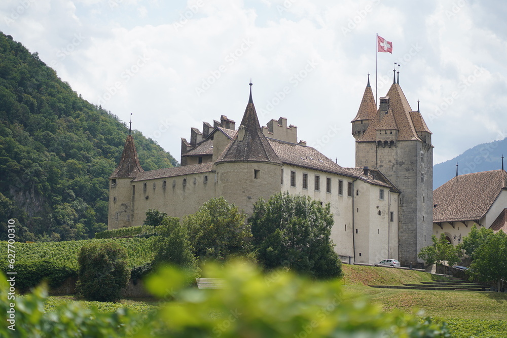 castle in the country, Aigle Castle, Switzerland
