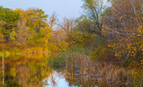 closeup calm autumn river scene