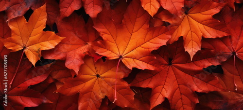 Deep red maple leaf abstract background. Autumn colors. WIde format. hand edited generative AI.