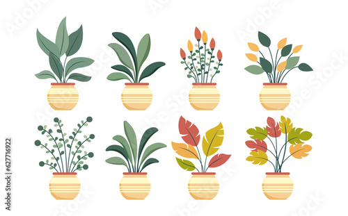 set of isolated home plants in pots for decor your living room or office. Potted plants bundle  house plants. Vector collection in a flat style