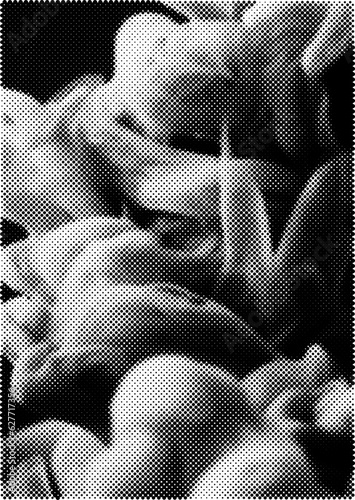 Halftone abstract vector texture
