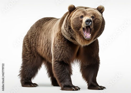 Untamed Power: The Mighty Grizzly Bear on a Serene White Background. Generative Ai © DigitalGenetics