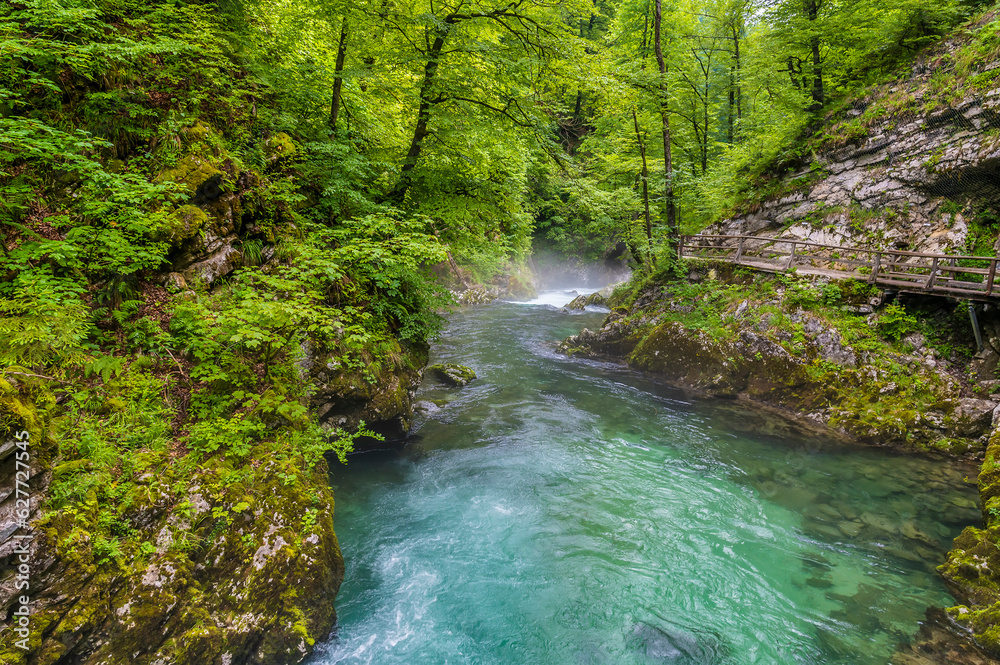Fototapeta premium A view down the turbulent Radovna River in the Vintgar Gorge in Slovenia in summertime
